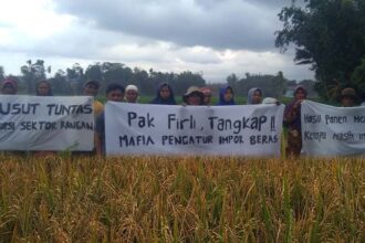 Paguyuban Petani Mandiri Pangan Kabupaten Cilacap, Kecamatan Majenang, Jawa Tengah