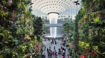 Bandara Changi Singapura Akan Bebas Paspor